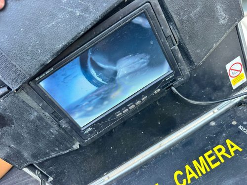 Kanal Görüntüleme