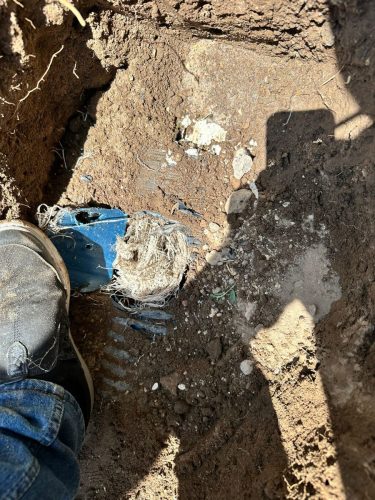 Kanal Görüntüleme